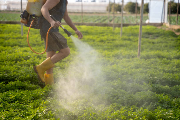 Best Residential Pest Control  in Spring Creek, NV
