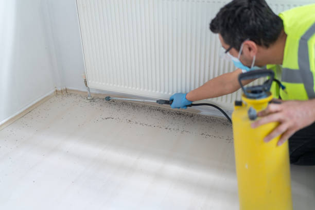 Reliable Spring Creek, NV Pest Control Solutions