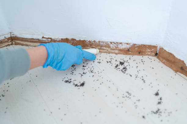 Best Wildlife Control Services  in Spring Creek, NV