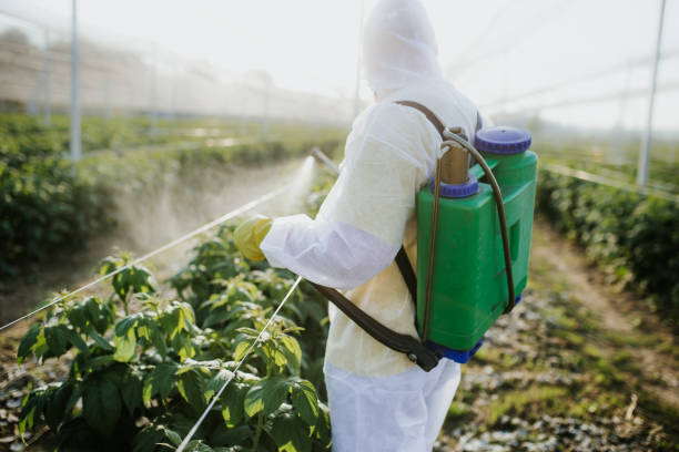 Best Emergency Pest Control  in Spring Creek, NV